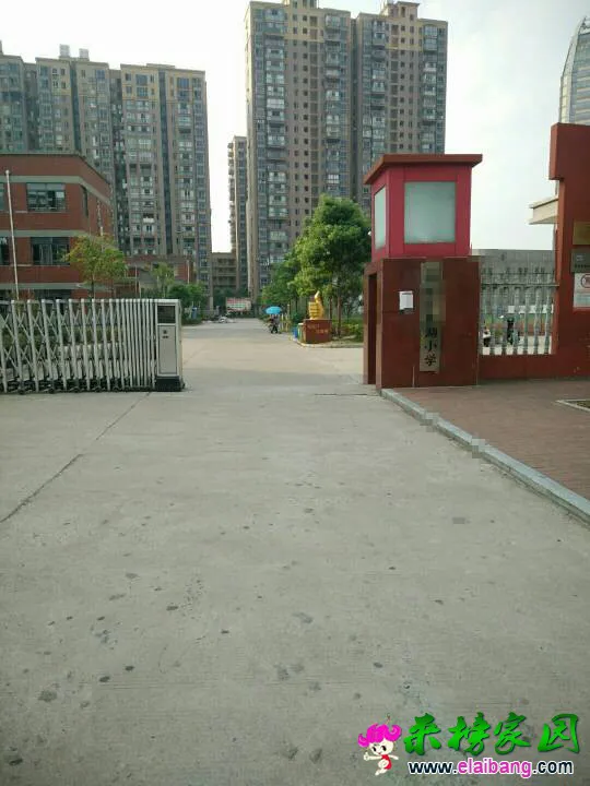 122634rlzlh9ph72hhylp1.webp