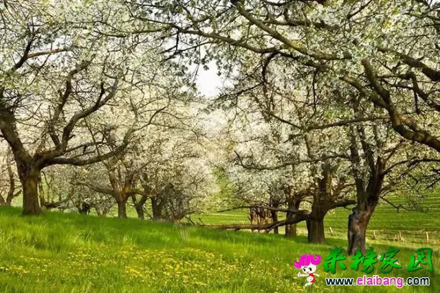 640.webp (15).webp