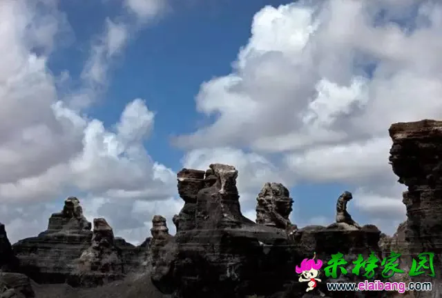 640.webp (14).webp