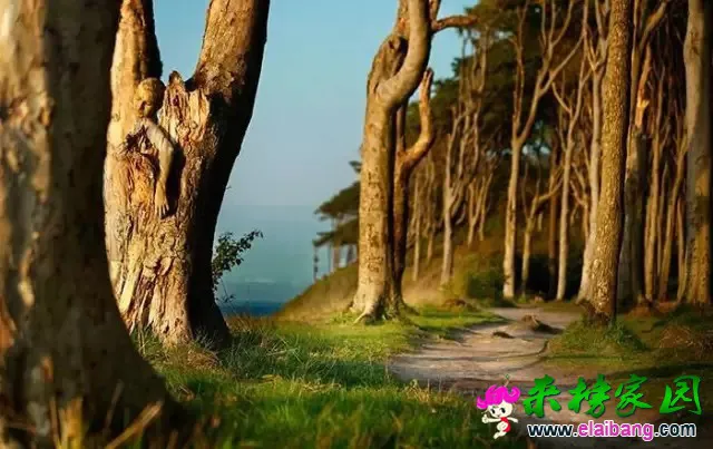 640.webp (10).webp