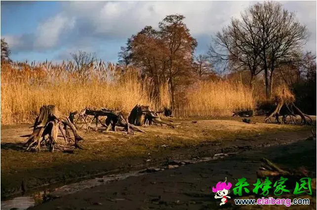 QQ截图20160825204627.webp