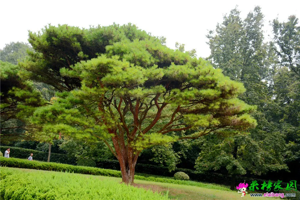 DSC_8828.webp