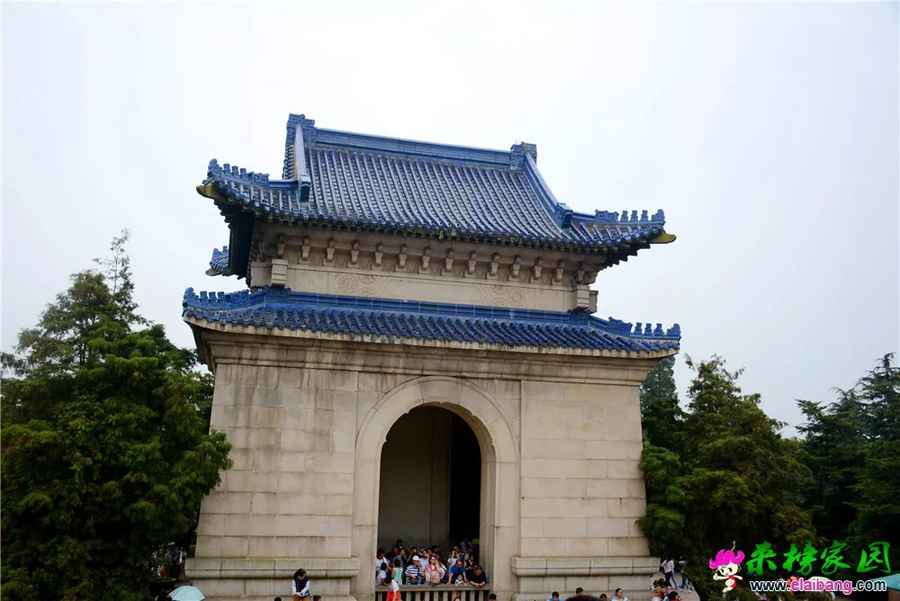 DSC_8860.webp