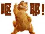 ycl24.webp