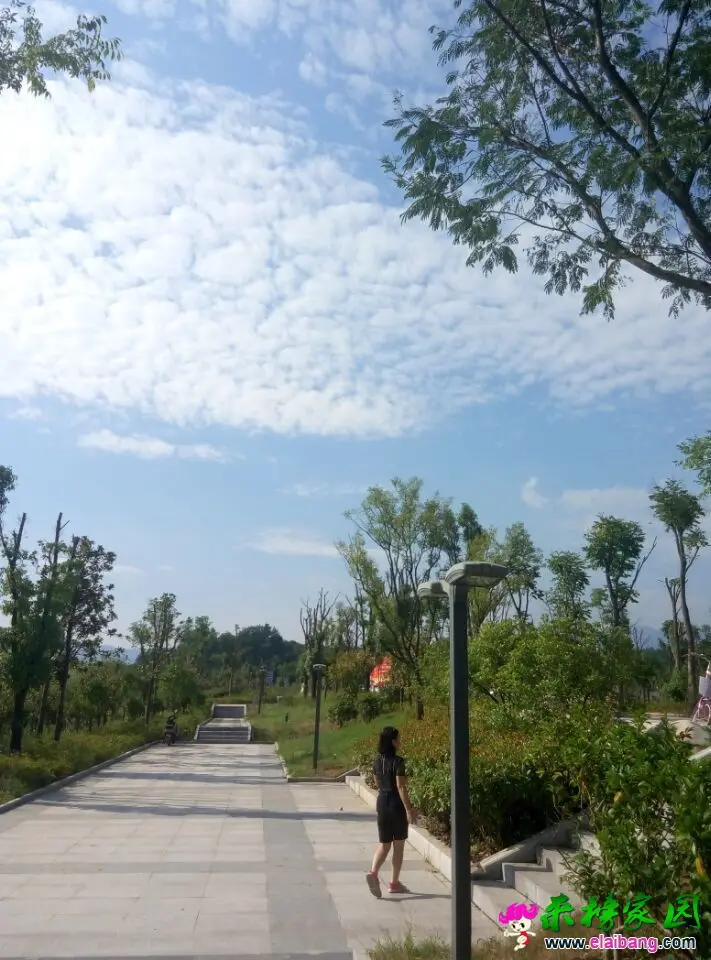 QQ图片20160828211906.webp
