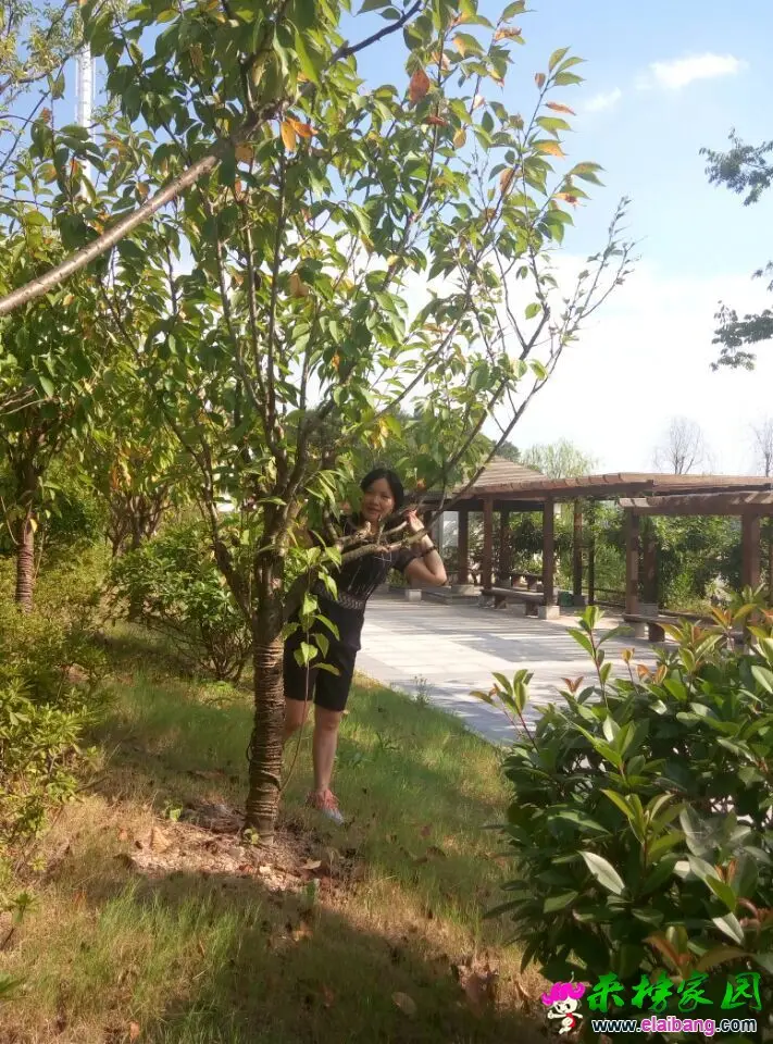 QQ图片20160828211914.webp