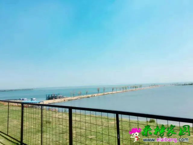 131935eru4ujyybnbnspbb.webp