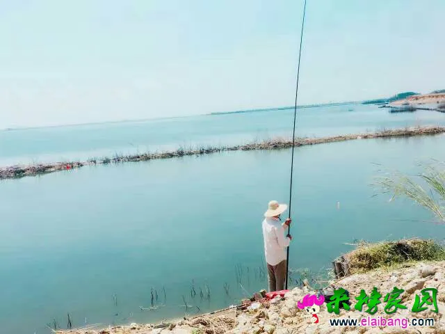 131935nmmgtngatamybgxw.webp