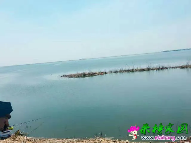 131935pu616i99nrjfrr1r.webp
