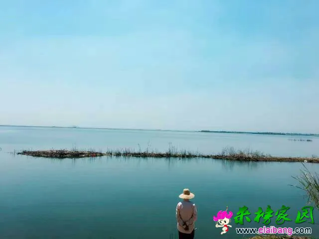 131935qheezyt3zoyee3da.webp
