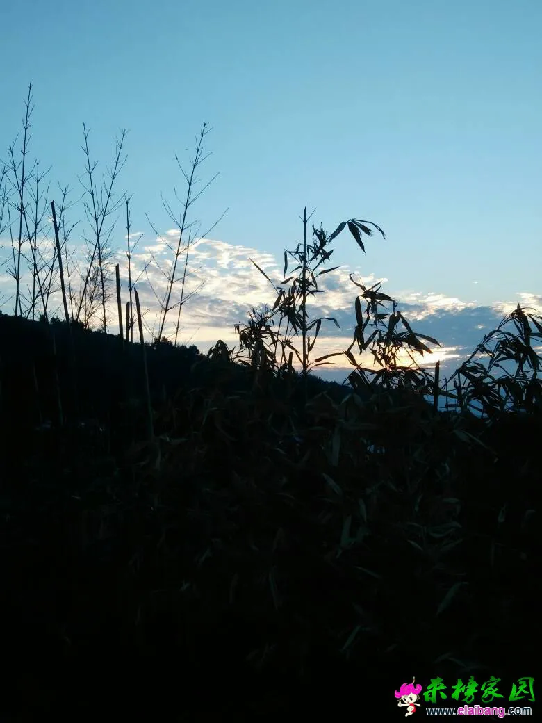 061759ovsu8703snnr3vnz.webp