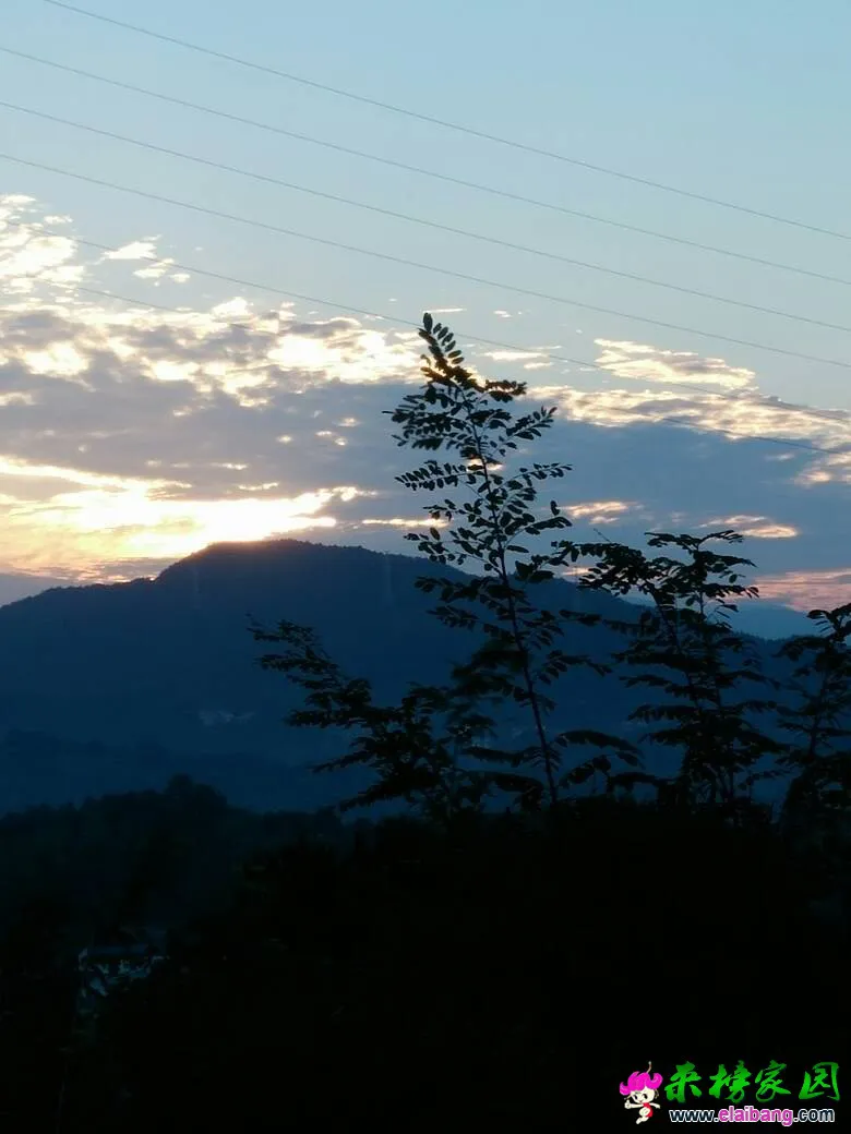 061800faf7vlxalc575e65.webp