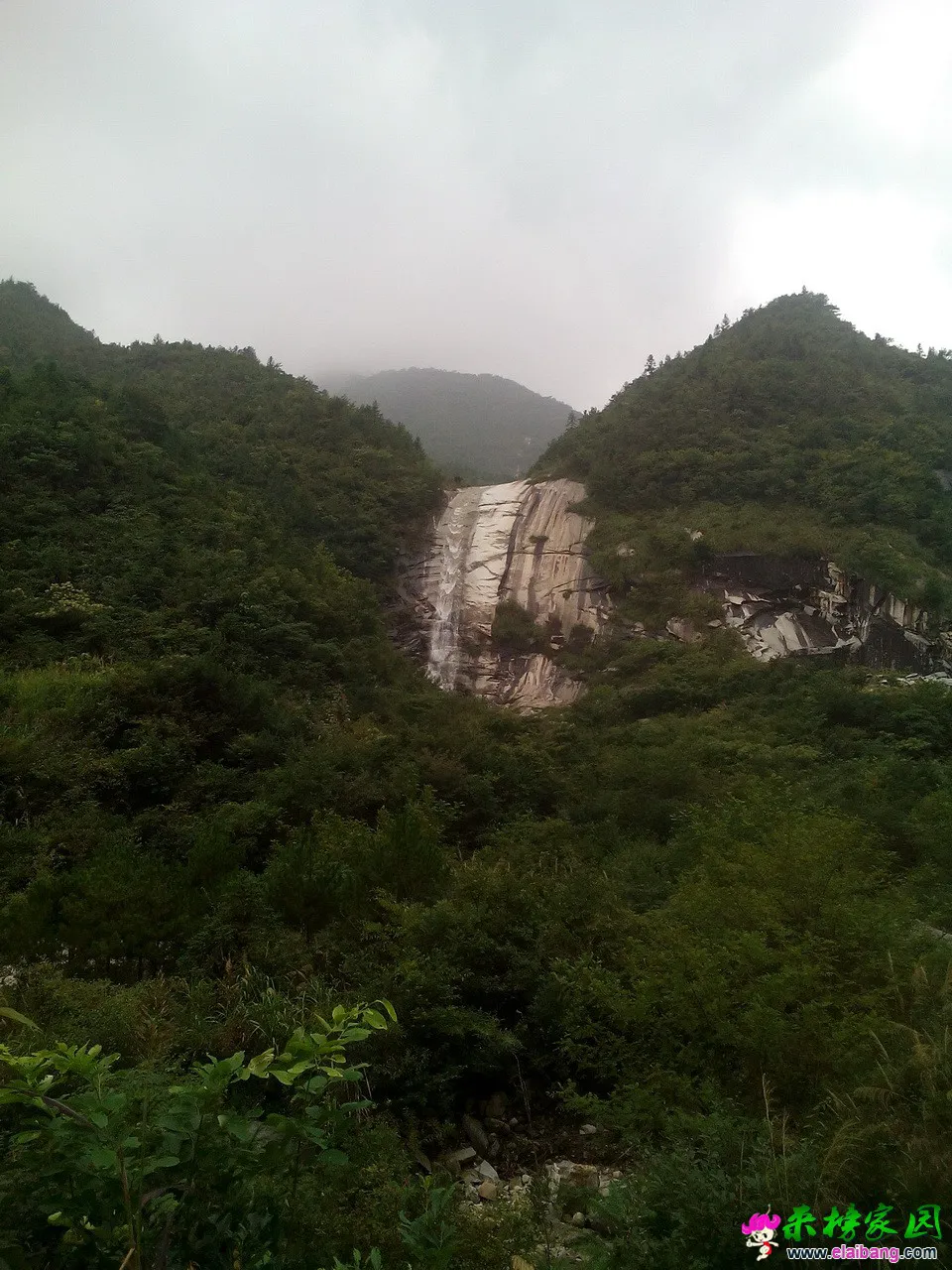 01.webp