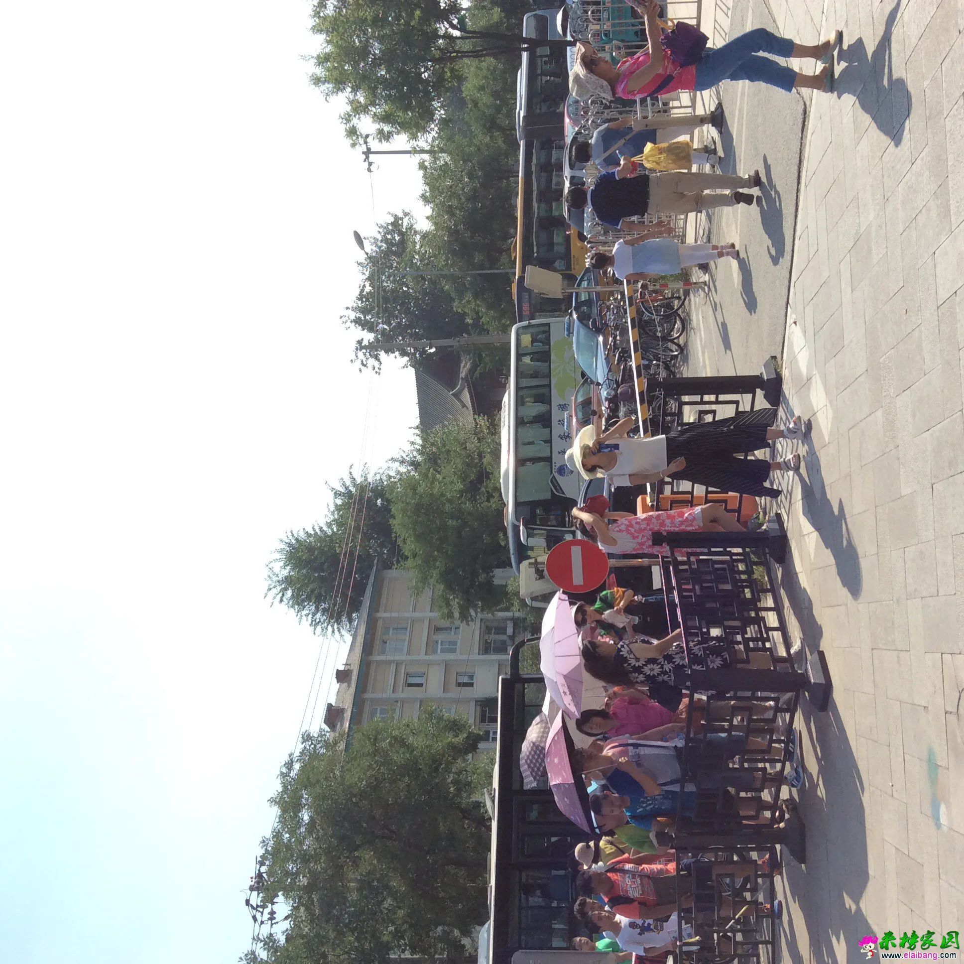 image.webp