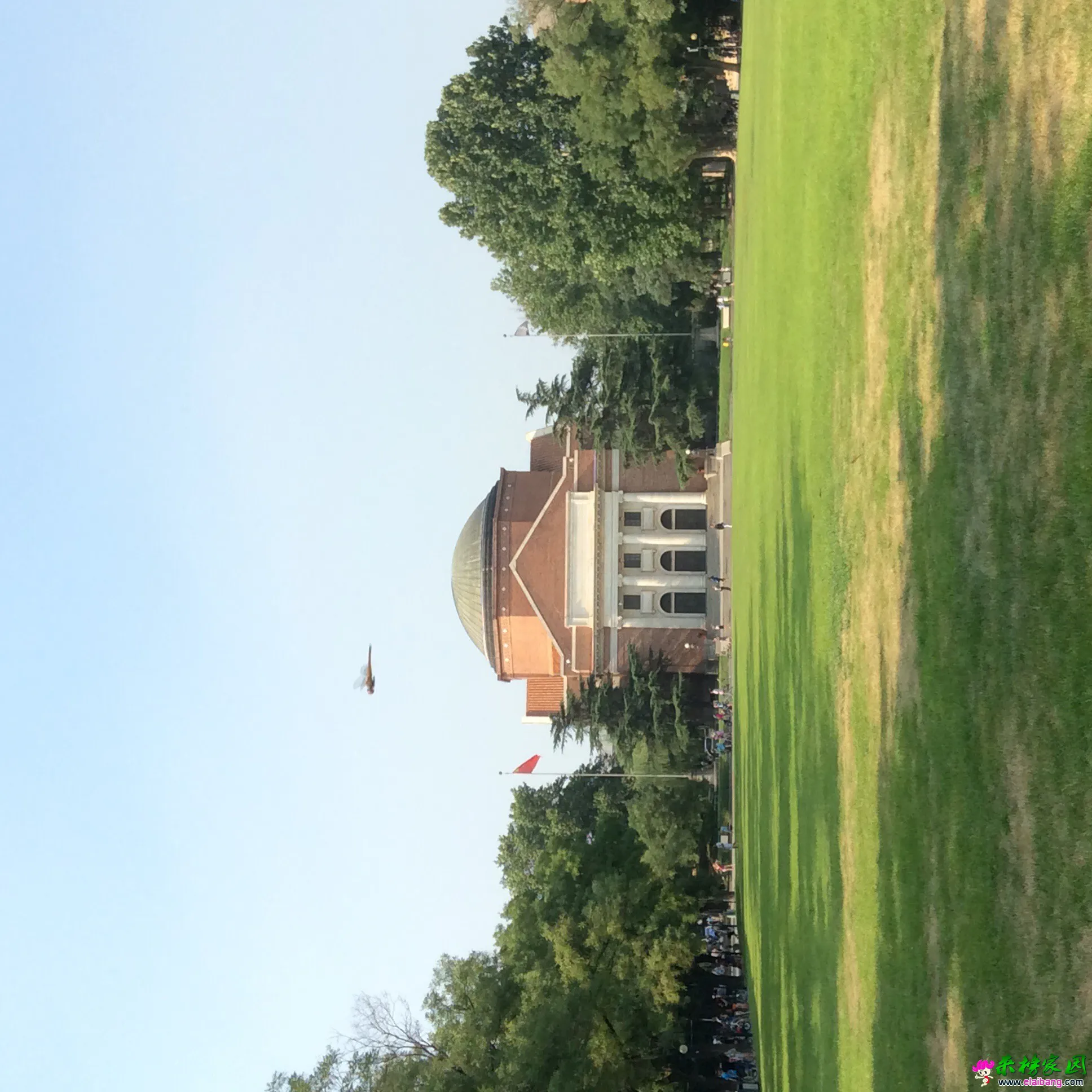image.webp
