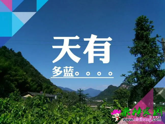 221038ppjj15o1b611q8jw.webp