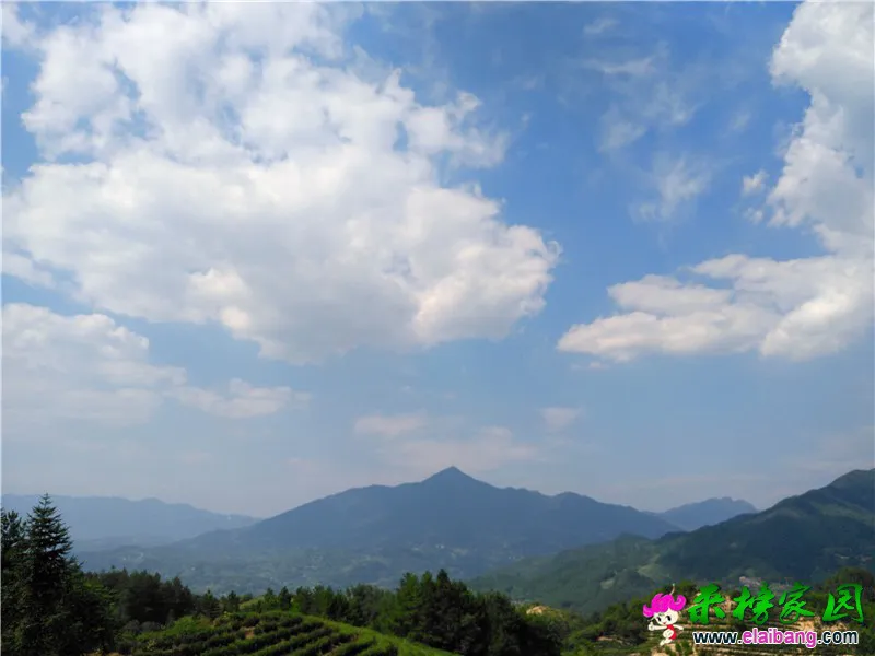 QQ图片20160903200112.webp