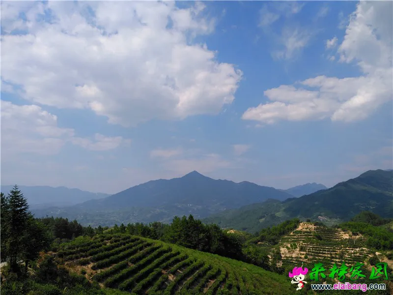 QQ图片20160903200117.webp