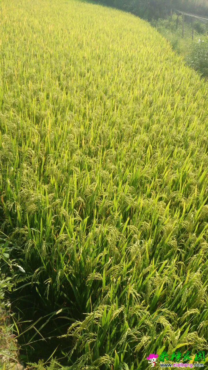 QQ图片2002010108082577.webp