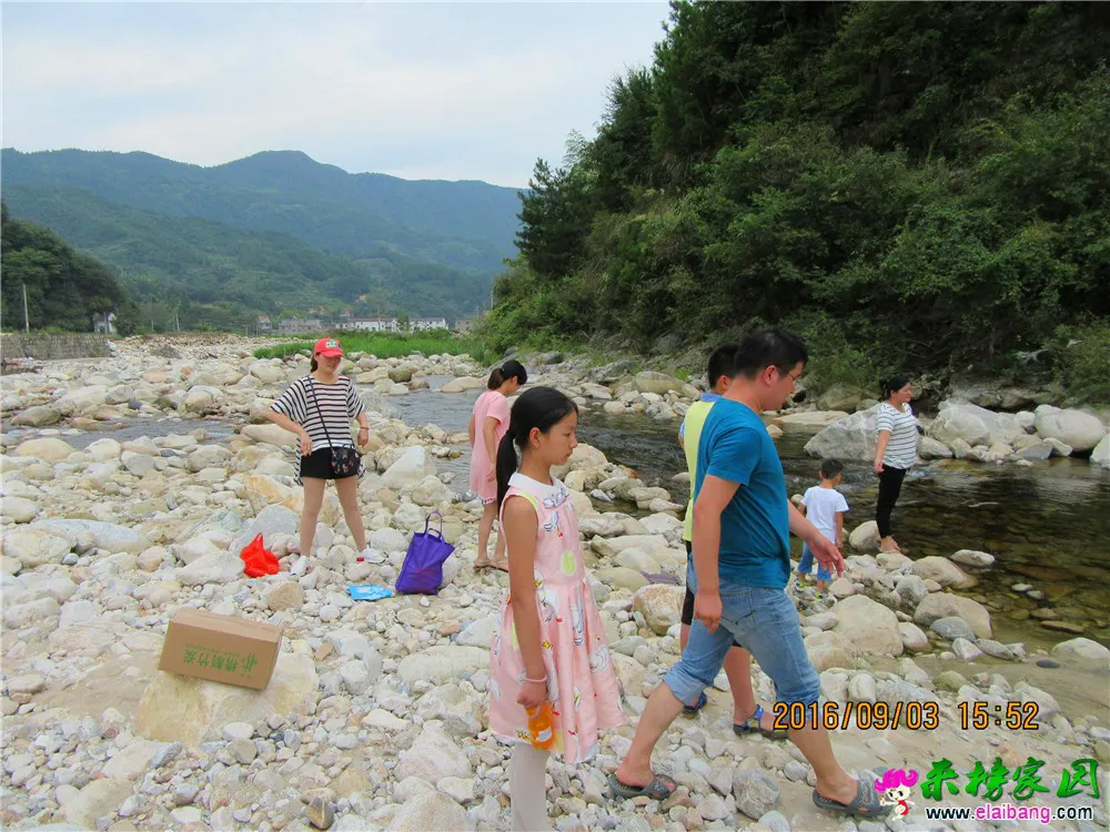 IMG_0878_调整大小.webp