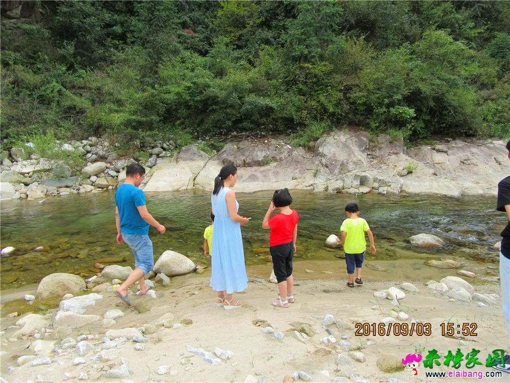 IMG_0879_调整大小.webp
