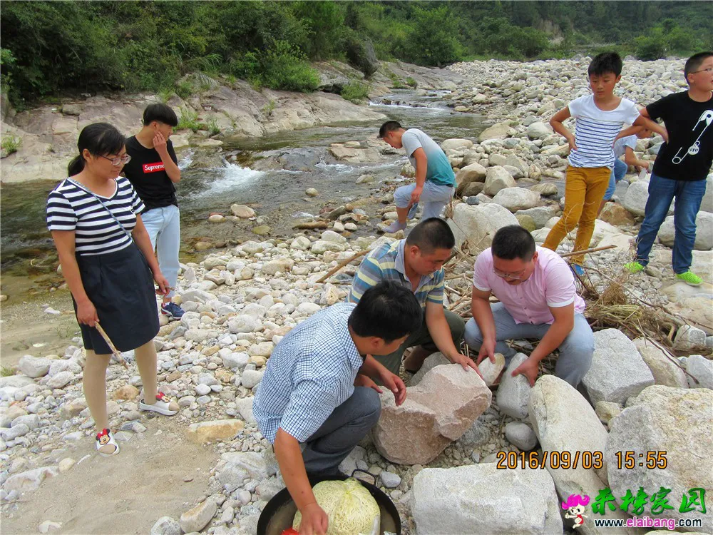 IMG_0882_调整大小.webp