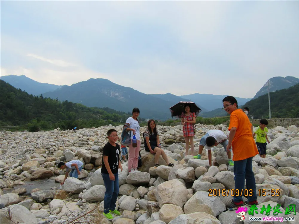 IMG_0883_调整大小.webp