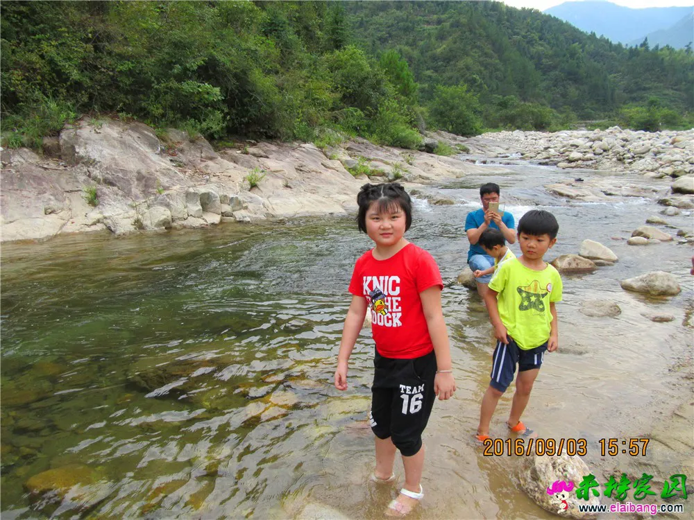 IMG_0886_调整大小.webp