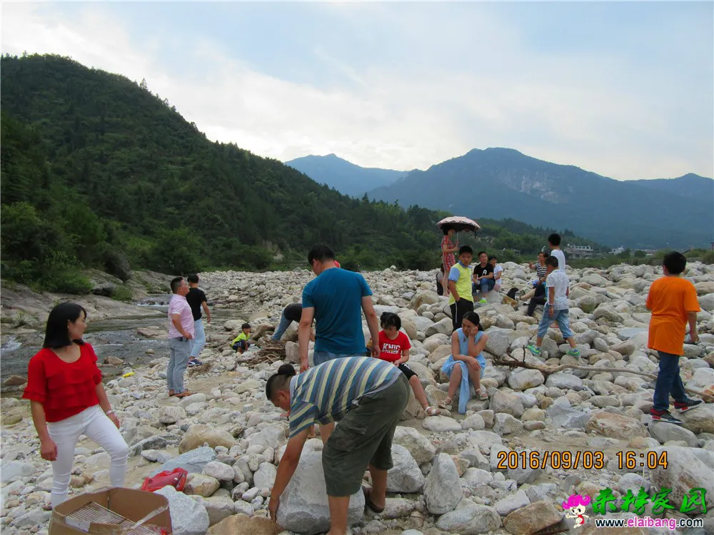 IMG_0896_调整大小.webp