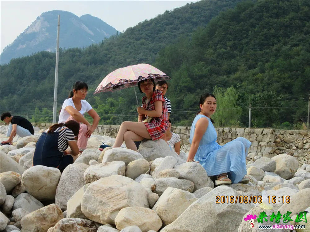 IMG_0902_调整大小.webp