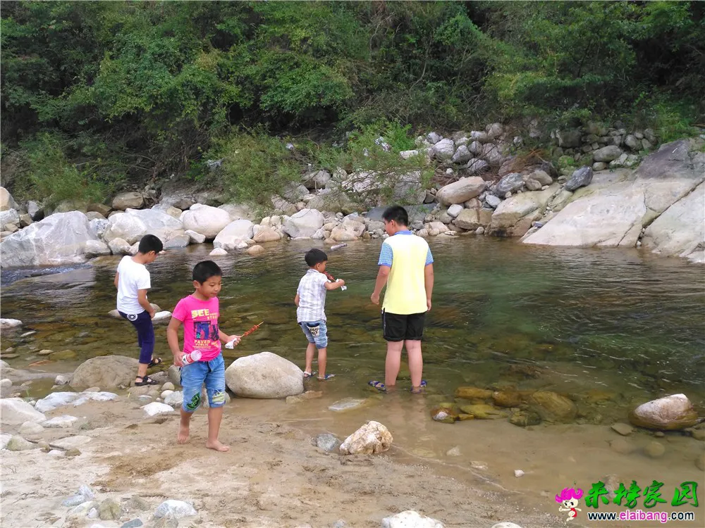 IMG_20160903_164404.webp
