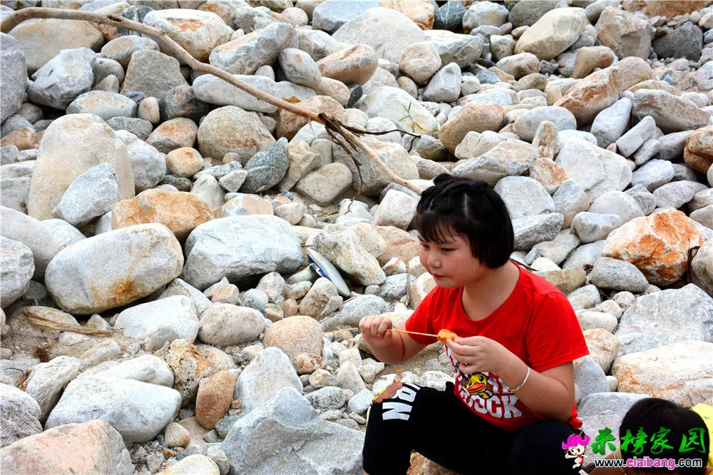 DSC_9213.webp