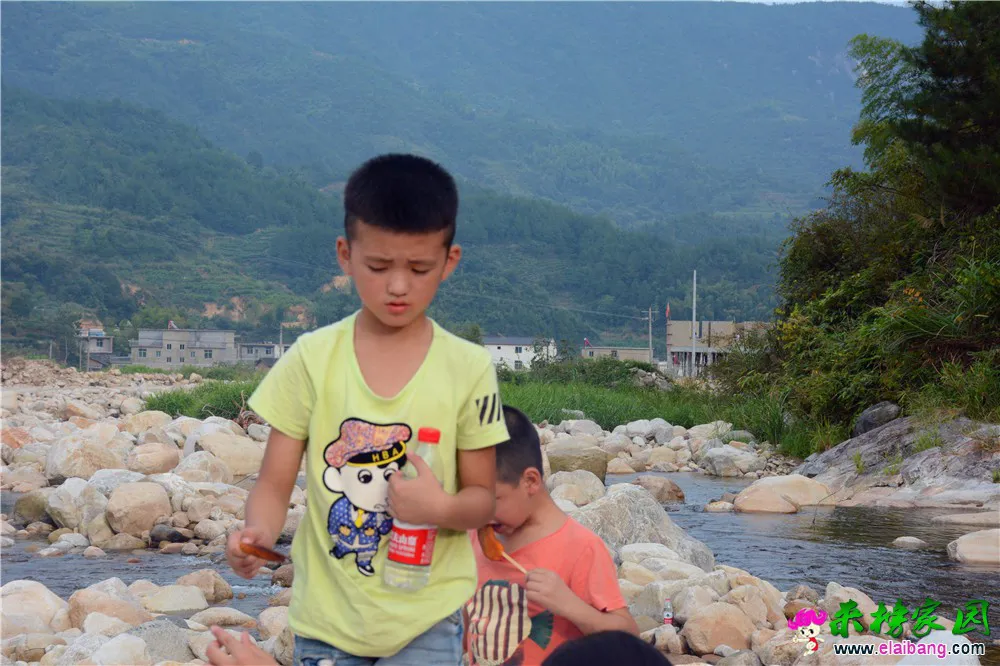 DSC_9256.webp