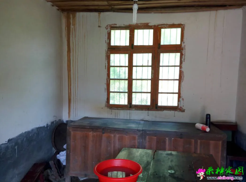 204944e6tz9izggip7y61g.webp