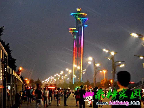 image.webp