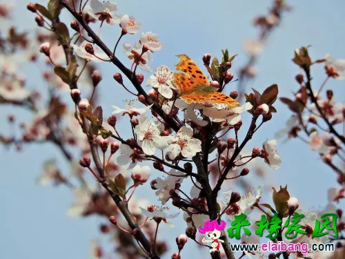 image.webp