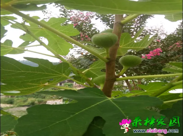 QQ图片20160907174907.webp