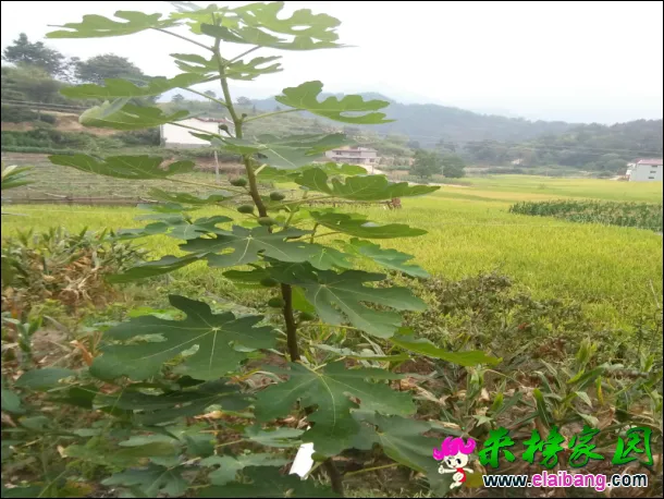QQ图片20160907174932.webp