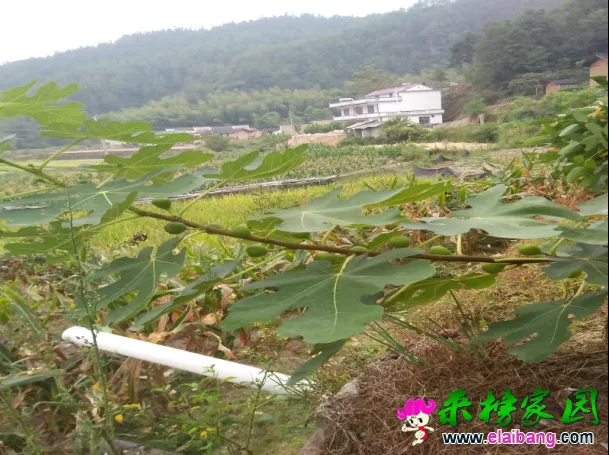 QQ图片20160907174956.webp