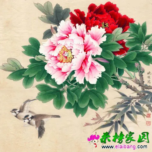 image.webp