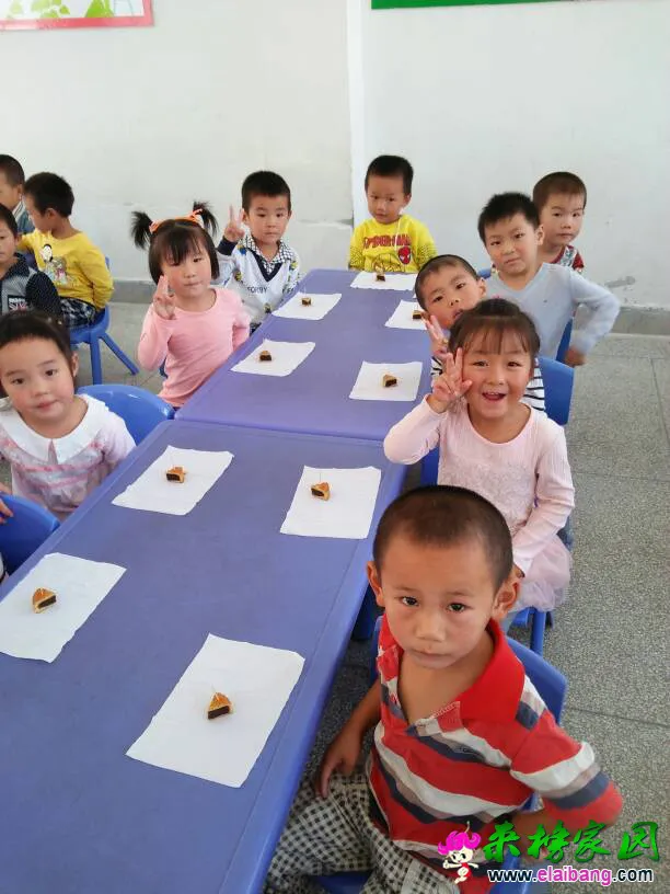 120604aa8qcptf8fr6ffys.webp