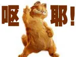 ycl24.webp