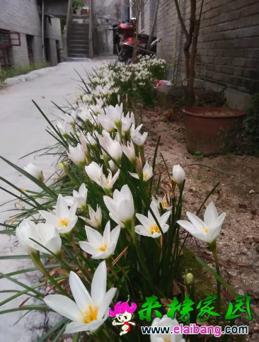 QQ图片20160915193921.webp