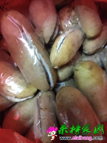 image.webp