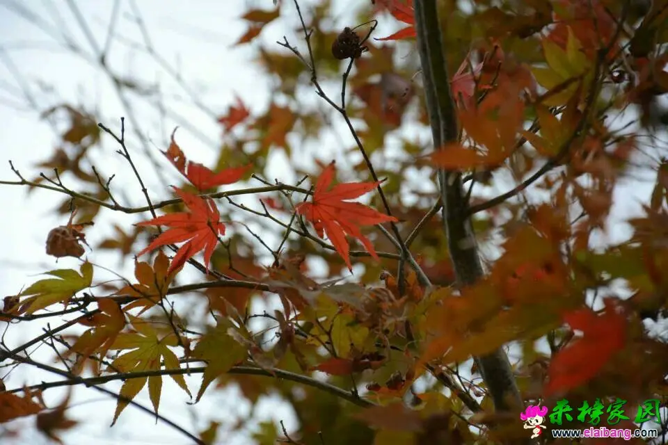 211647ykbha8zkb6zubmjt.webp