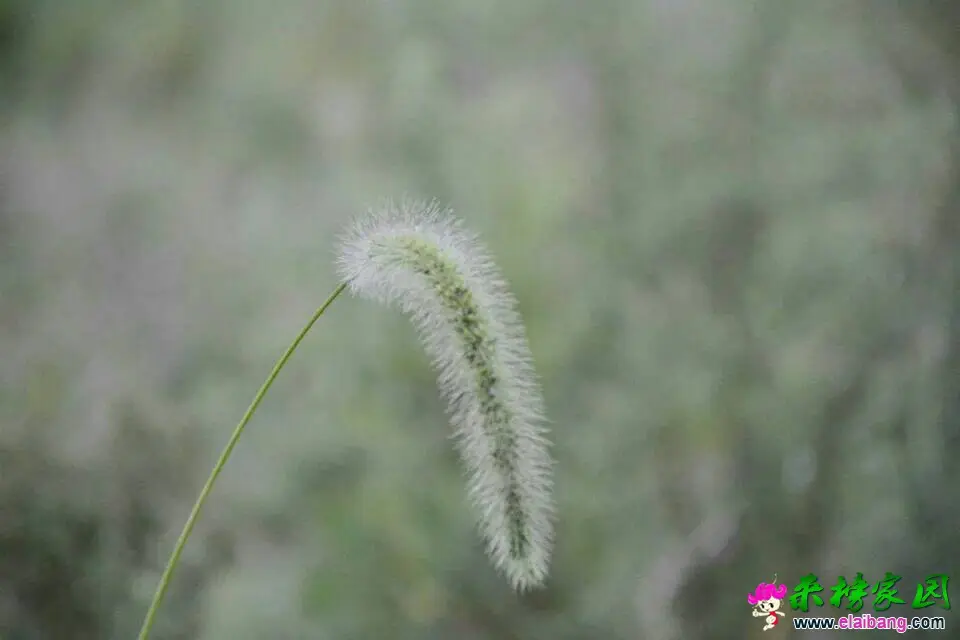 211649yfackd766qsdzccy.webp