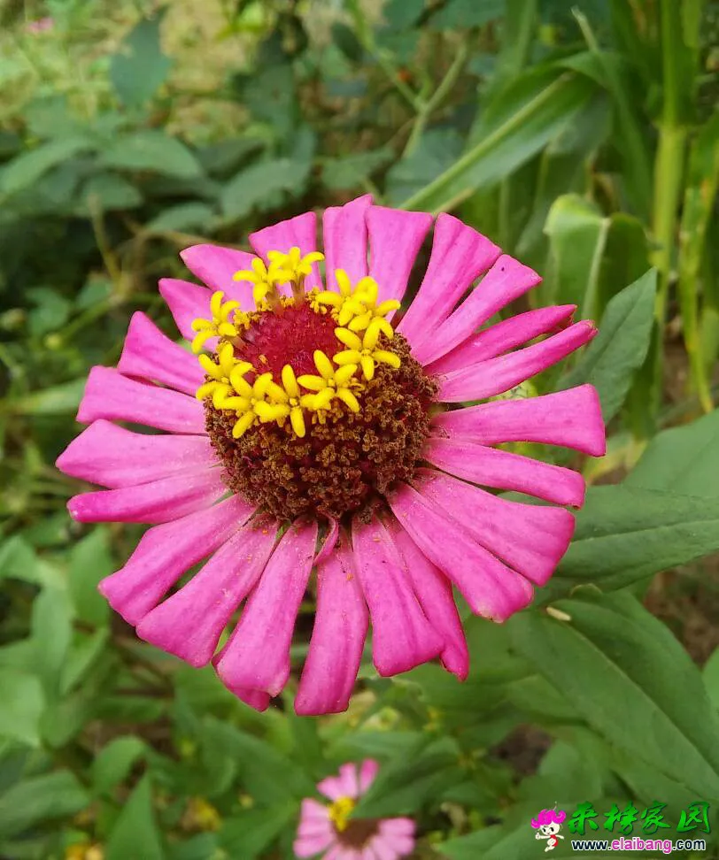 070415wbz6zk77o8nnsgss.webp
