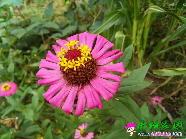 070416gz4rg96w3gxv060x.webp