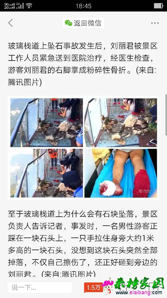 195056rccmgf5z3nppzimc.webp