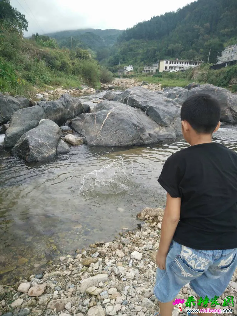 112901krfd1rrp5uhqzdxl.webp